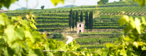 VENETO