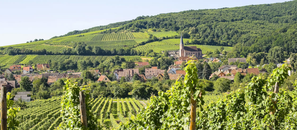ALSACE