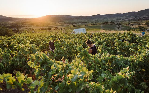 DOMAINE DES MATHOUANS