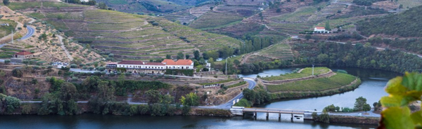 QUINTA DO TEDO