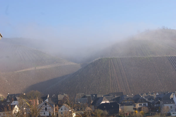 MOSEL