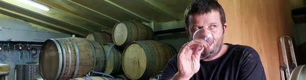 VINYES SINGULARS - PACS DEL PENEDÈS - CATALONIEN