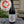 Load image into Gallery viewer, 2022 Charlotte Sauvage, PuR Raisin