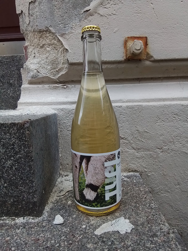 2023 Tamandua Bandeira, Saumur Champigny, L´éther Créatif