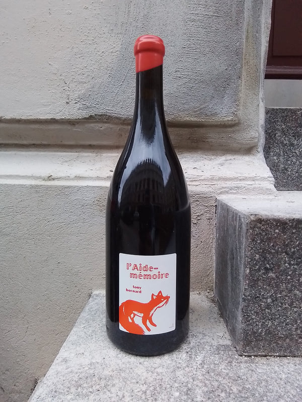2019 Pinot Noir, L'Aide Memoire, MAGNUM, Domaine Bornard