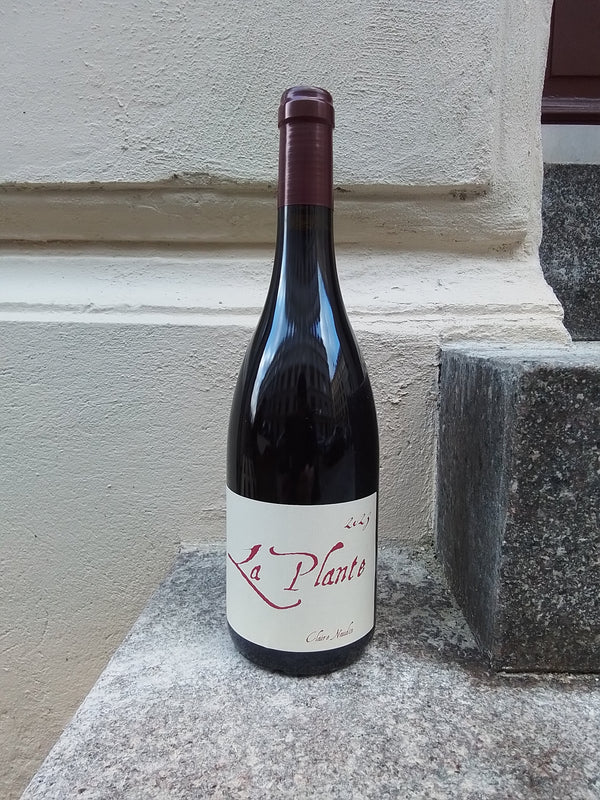 2023 Pinot Noir, La Plante, Claire Naudin