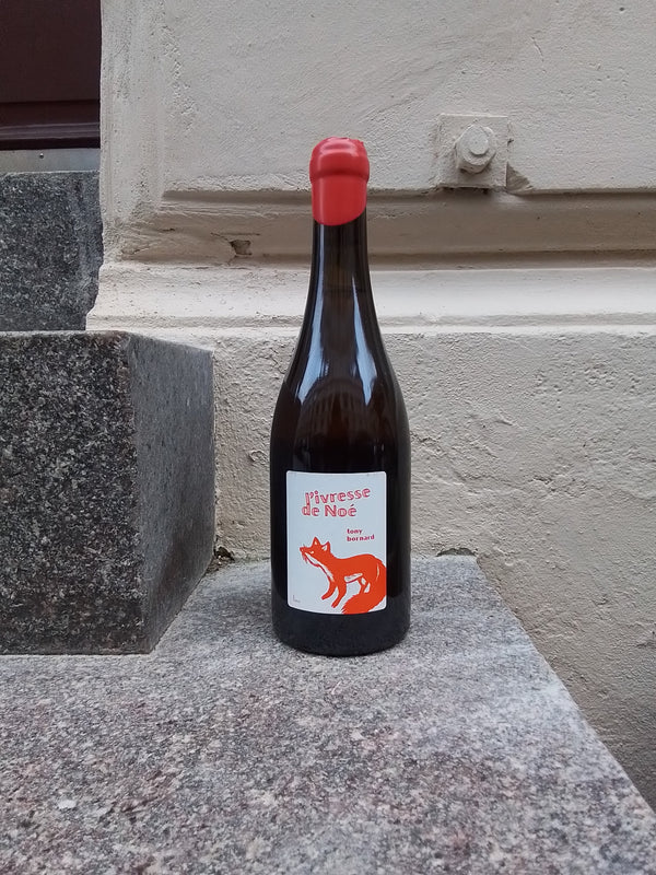 2018 Savagnin "l'ivresse de noé", Pupillin 0,5l , Domaine Bornard