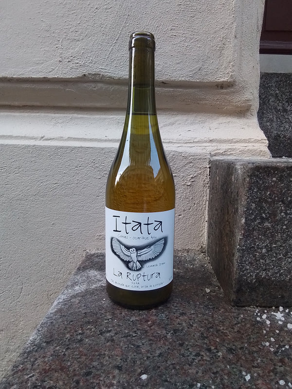 2018 La Ruptura, Leonardo Erazo