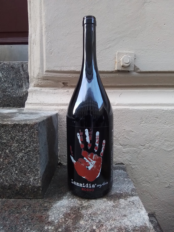 2019 Anfora Rosso, Magnum