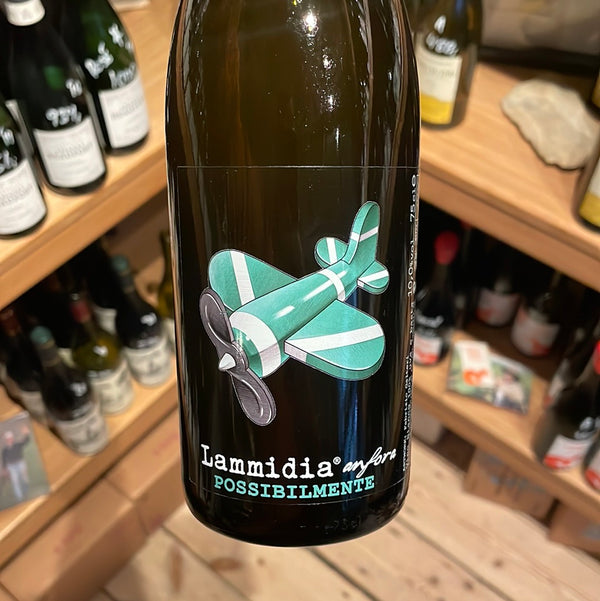 2021 Possibilmente Anfora, Lammidia, Villa Celiera, Abruzzo