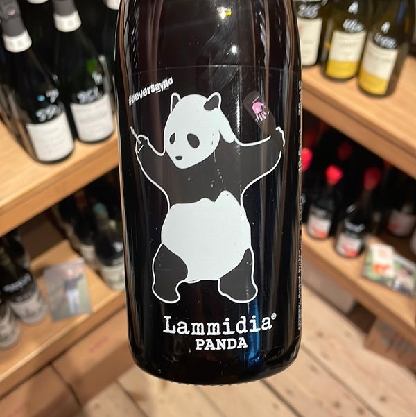 2022 Panda, Lammidia, Villa Celiera, Abruzzo