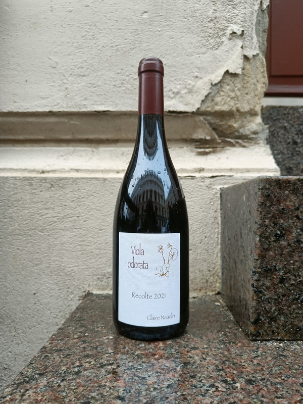 2022 Viola Odorata, Côte de Nuits-Villages, Claire Naudin