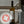 Load image into Gallery viewer, 2018 Arvine "Echert", Chèrouche