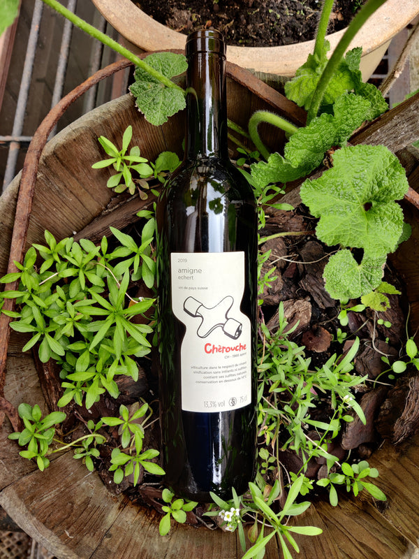 2019 Amigne Cherouche