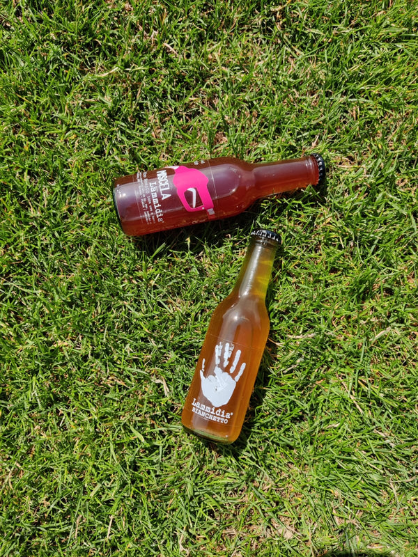 LAMMIDIA SOMMERKASSE (incl. gratis picnic pack)