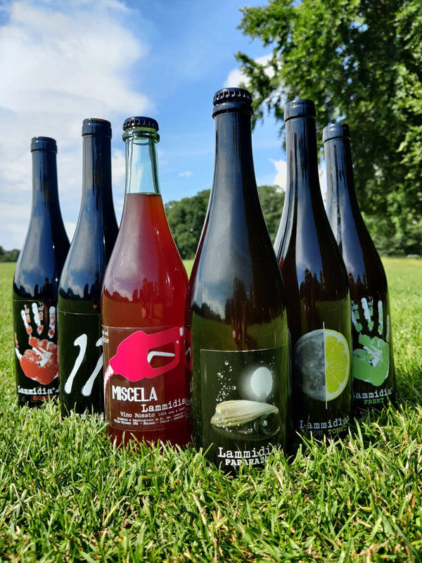LAMMIDIA SOMMERKASSE (incl. gratis picnic pack)