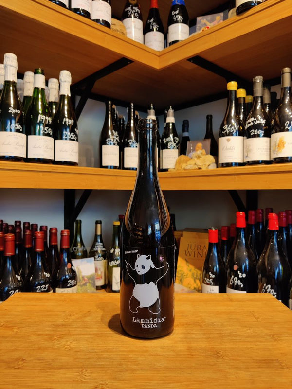 2020 Panda, Villa Celiera, Lammidia, Abruzzo
