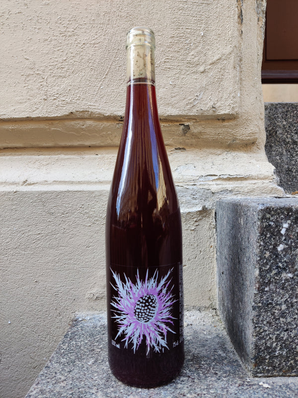 2022  Lady GA-GA Domaine Piccard