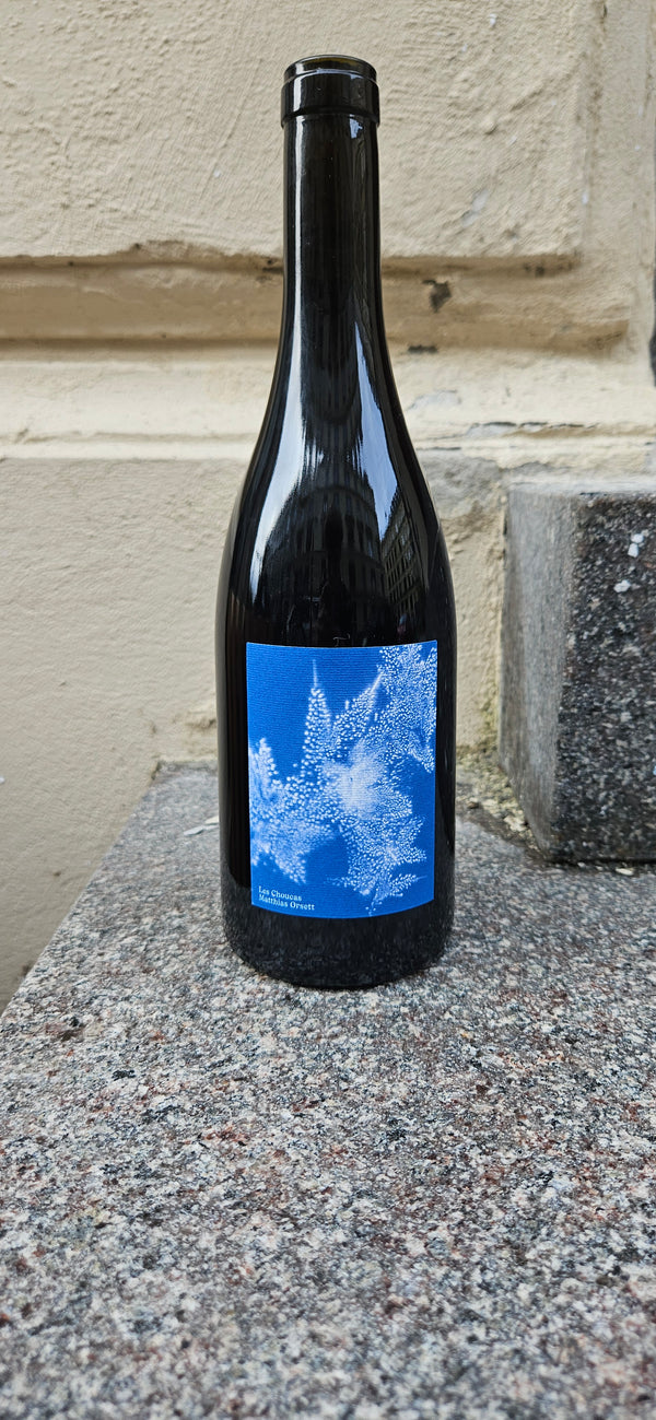 2023 Gamay, Les Choucas, Matthias Orsett