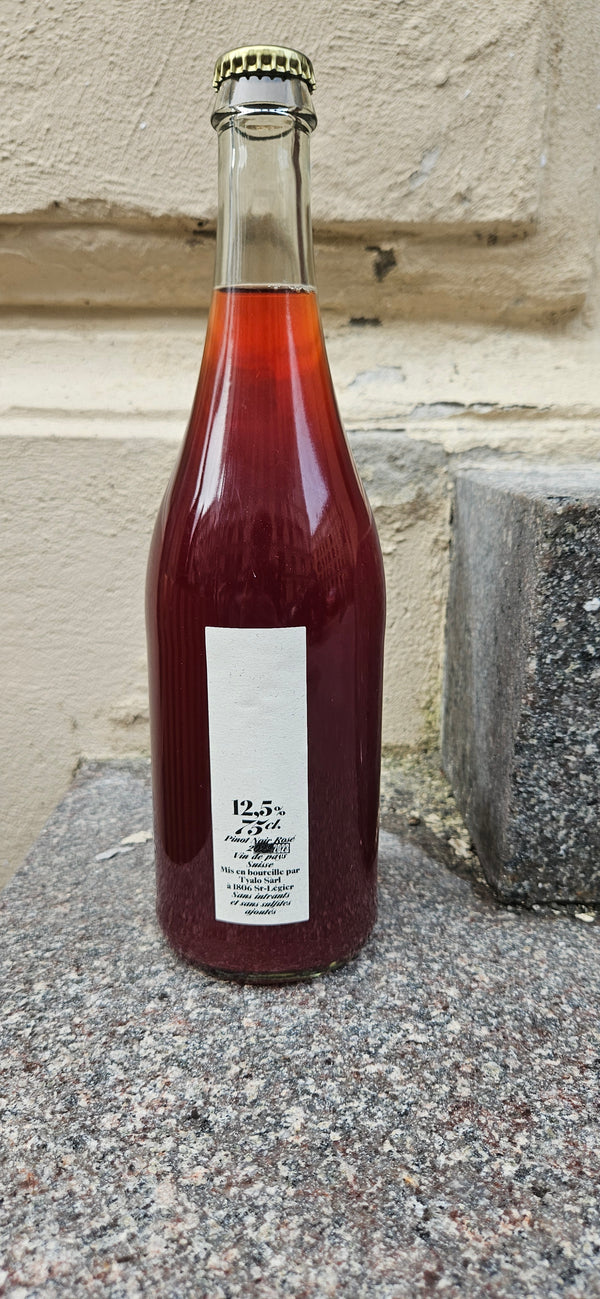 2023 Pinot Noir/Pinot Gris, Papalo, Tyalo Tyalo