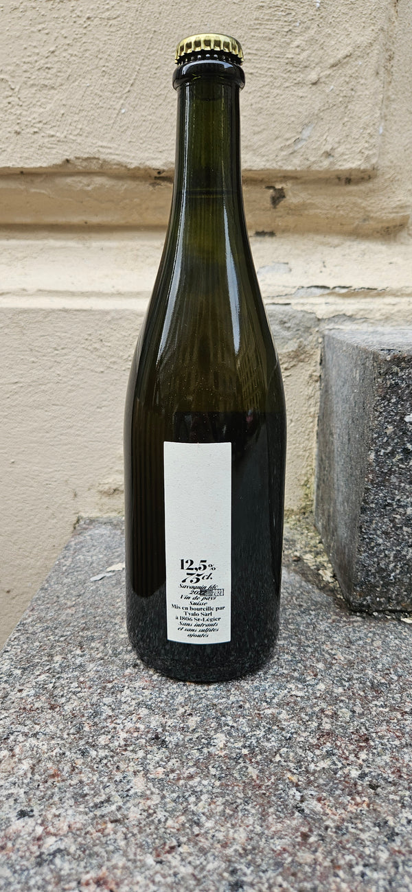 2023 Savagnin, Ombre, "lees contact", Tyalo Tyalo