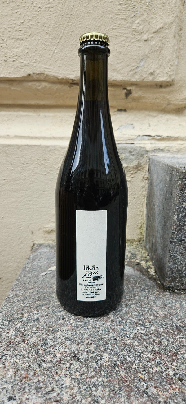 2023 Gamay, Magnolia, Tyalo Tyalo