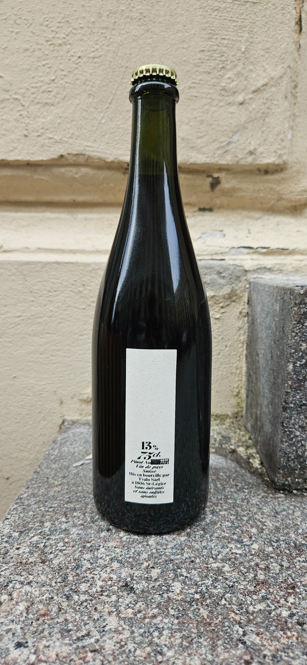 2023 Pinot Noir, Agata, Tyalo Tyalo