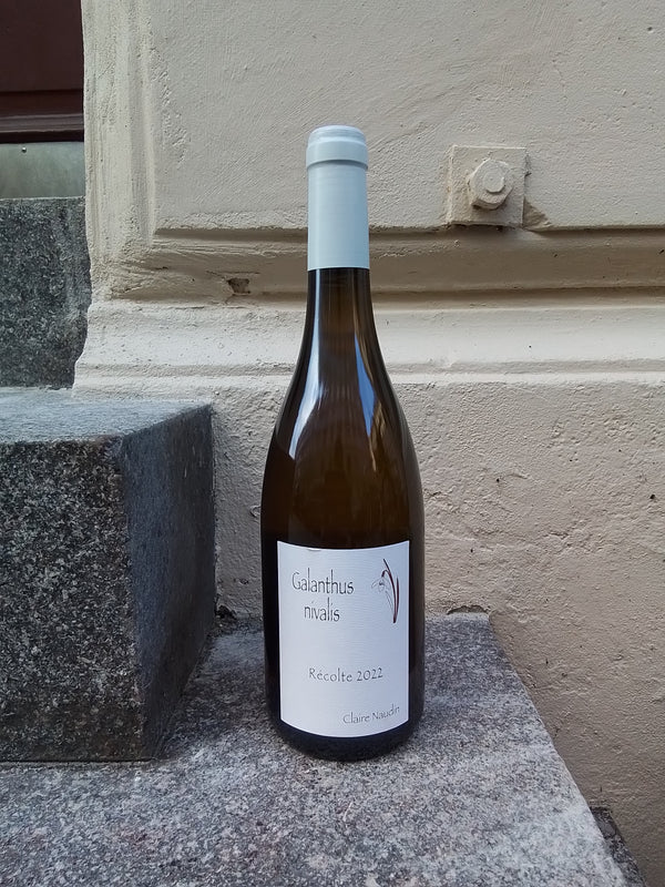 2022 Pinot Blanc, Galanthus Nivalis, Côtes de Beaune, Claire Naudin