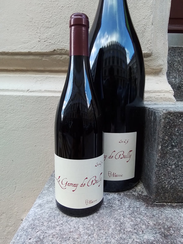 2023 Le Gamay de Bully, Bizot/Naudin (BiNaume)