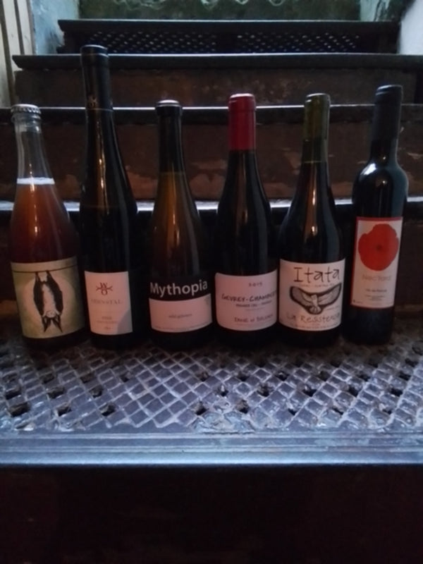 Cellar wine Tasting Box vol. 3