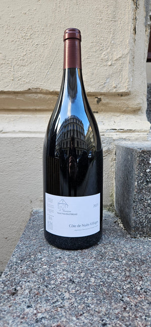 2023 Pinot Noir, Côte de Nuits (Magnum) , Domaine Henri-Naudin Ferrand