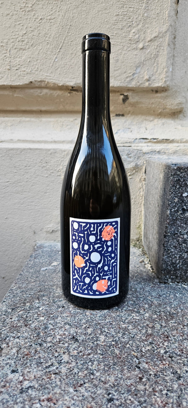 2022 Chasselas, Beinna, Domain Christinat