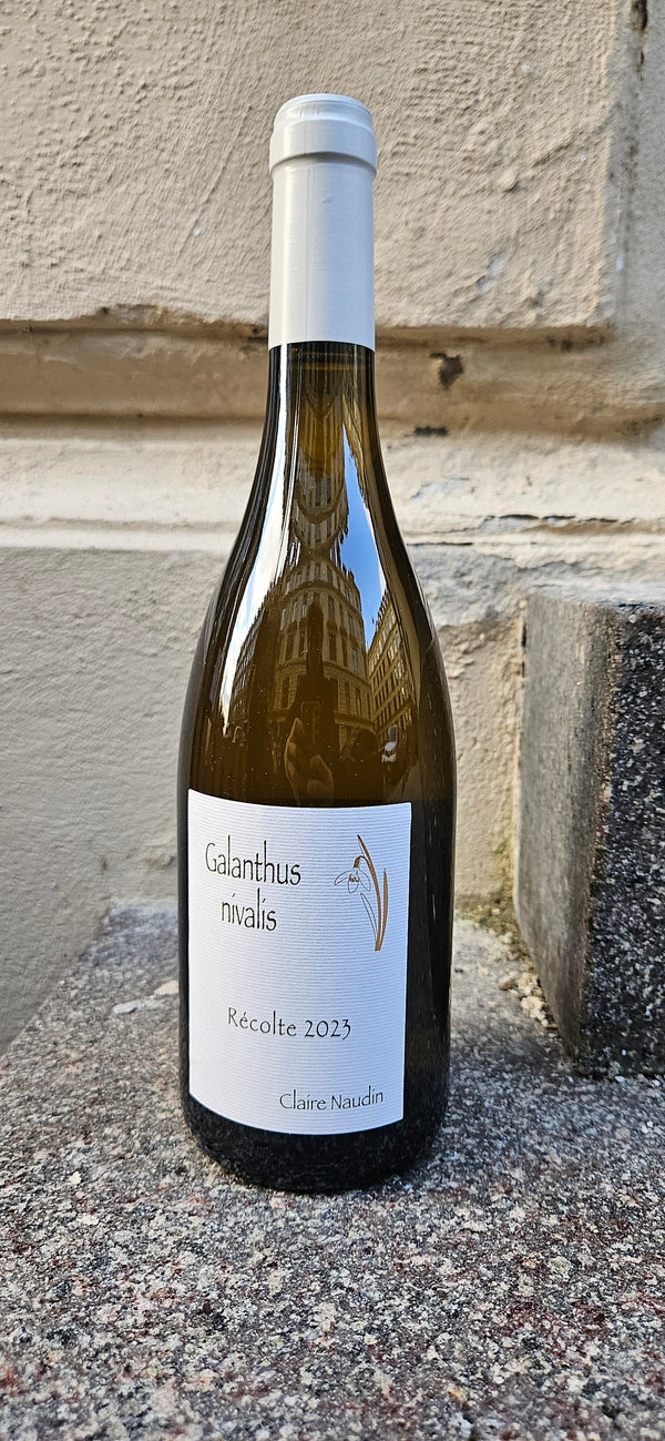 2023 Pinot Blanc, Galanthus Nivalis, Côtes de Beaune, Claire Naudi