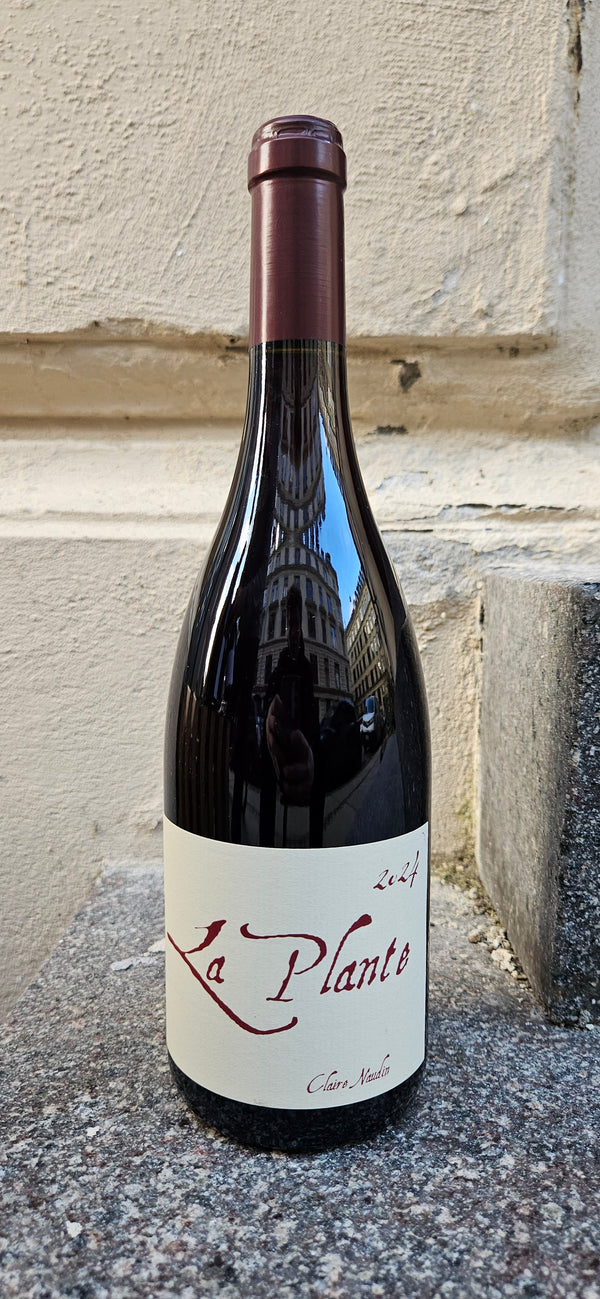 2024 Pinot Noir, La Plante, Claire Naudin