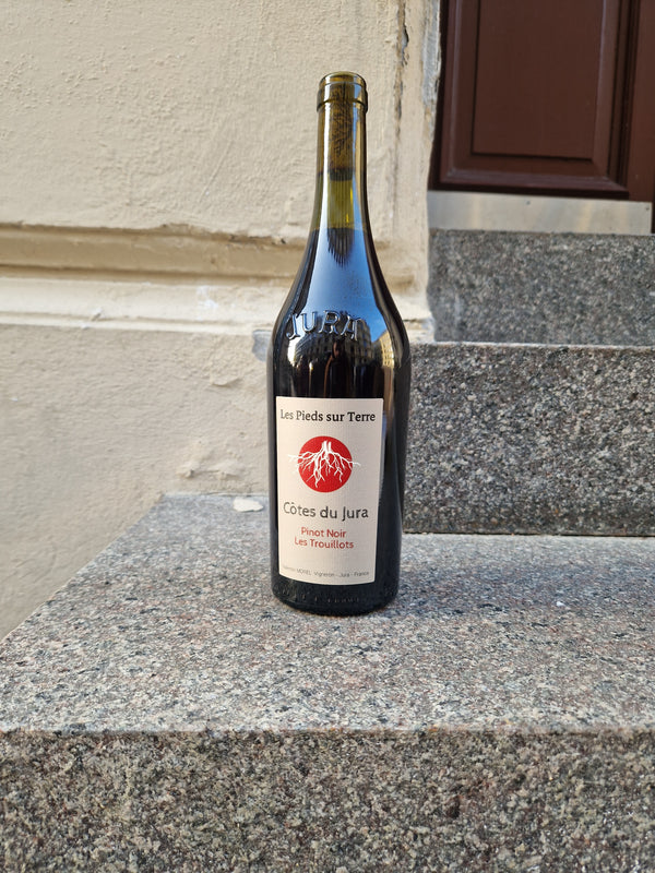 2022 Pinot Noir, Les Trouillots (2 Years Elevage) , Valentin Morel