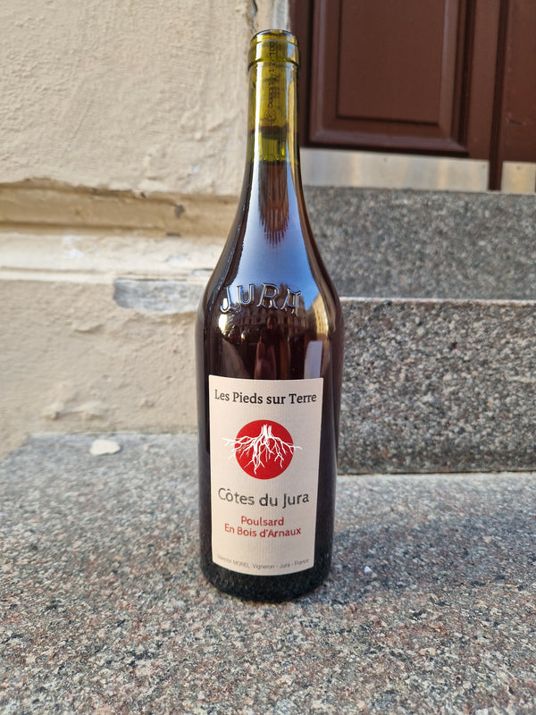 2023 Poulsard , En Bois d´Arnoux, Valentin Morel