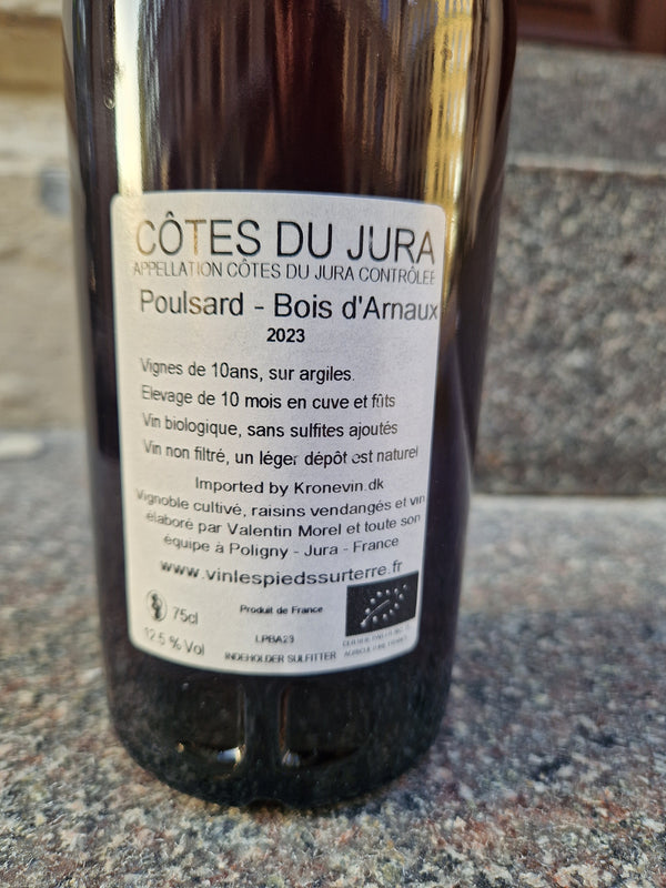 2023 Poulsard , En Bois d´Arnoux, Valentin Morel