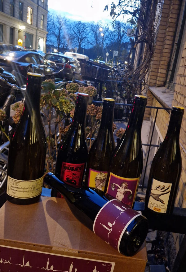 Christian Boulanger and Mathieu Allante tasting at Fischers together with Desperatehousewinezz