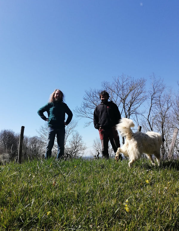 Christian Boulanger and Mathieu Allante tasting at Fischers together with Desperatehousewinezz