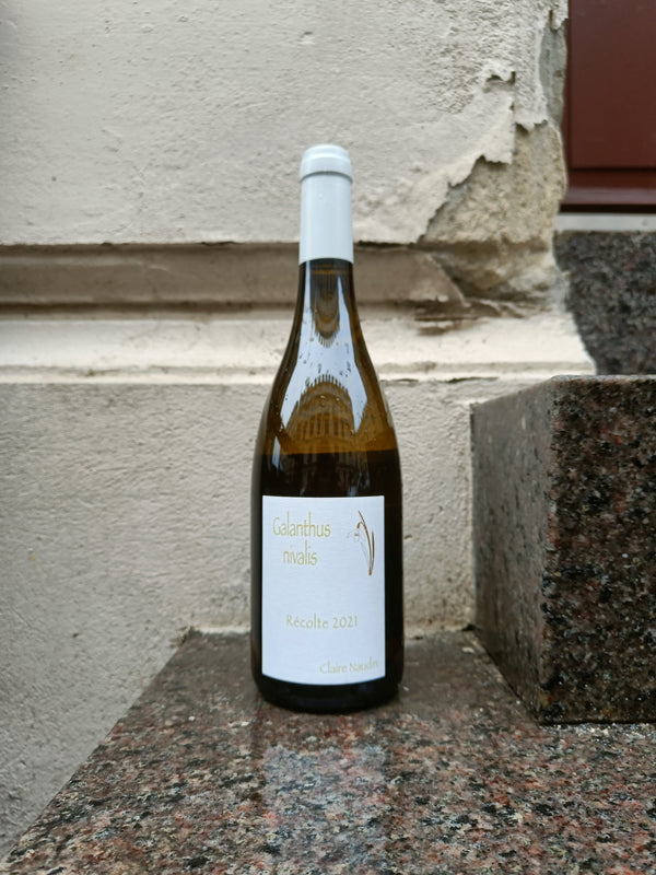 2021 Galanthus Nivalis, Côtes de Beaune, Claire Naudin