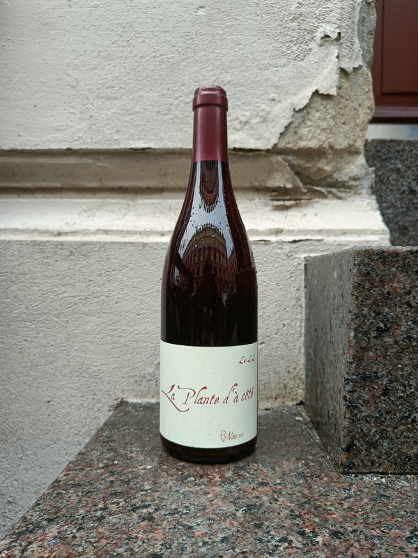 2022 Pinot Noir, La Plante d'à Côté, Bizot/Naudin