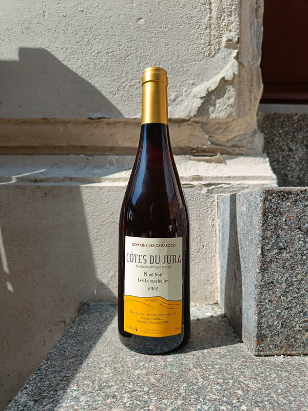 2022 Pinot Noir Les Lumachelles, Domaine des Cavarodes (ALLOKATIONSVIN)