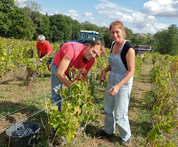 13 vine + Menu (Vinsmagning med Chateau de Lavernette på Restaurant ALF den 2.JUNI 2025 18.00-22.00