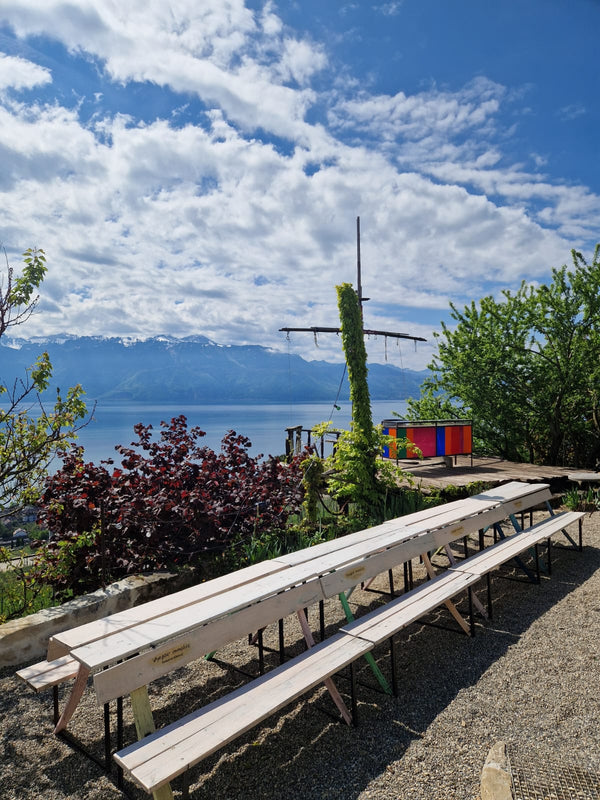 Swiss wine & raclette extravaganza at TILDA og KARL. Please come as it fits you from 18:00 to 21:00, experience the best Swiss wine their famous cheese and enjoy a cosy time on the 26th of February