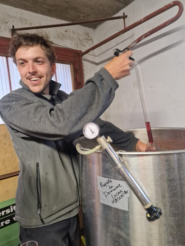 Swiss wine & raclette extravaganza at TILDA og KARL. Please come as it fits you from 18:00 to 21:00, experience the best Swiss wine their famous cheese and enjoy a cosy time on the 26th of February