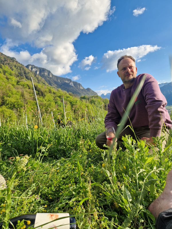 Swiss wine & raclette extravaganza at TILDA og KARL. Please come as it fits you from 18:00 to 21:00, experience the best Swiss wine their famous cheese and enjoy a cosy time on the 26th of February