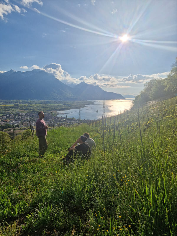 Swiss wine & raclette extravaganza at TILDA og KARL. Please come as it fits you from 18:00 to 21:00, experience the best Swiss wine their famous cheese and enjoy a cosy time on the 26th of February