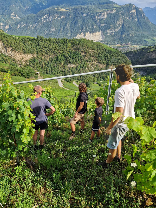 Swiss wine & raclette extravaganza at TILDA og KARL. Please come as it fits you from 18:00 to 21:00, experience the best Swiss wine their famous cheese and enjoy a cosy time on the 26th of February