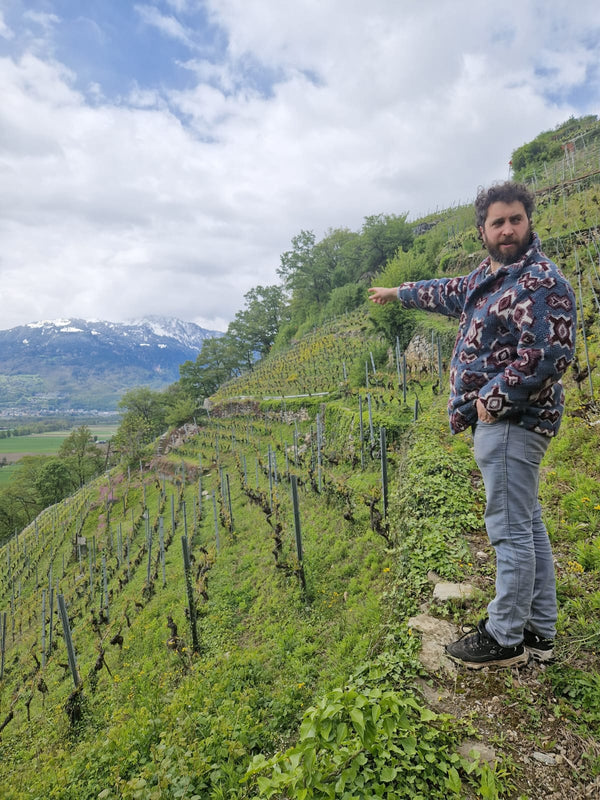 Swiss wine & raclette extravaganza at TILDA og KARL. Please come as it fits you from 18:00 to 21:00, experience the best Swiss wine their famous cheese and enjoy a cosy time on the 26th of February