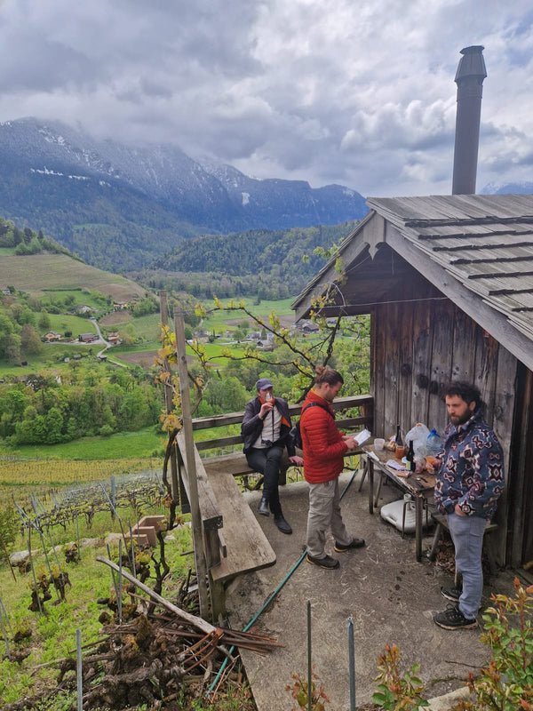 Swiss wine & raclette extravaganza at TILDA og KARL. Please come as it fits you from 18:00 to 21:00, experience the best Swiss wine their famous cheese and enjoy a cosy time on the 26th of February